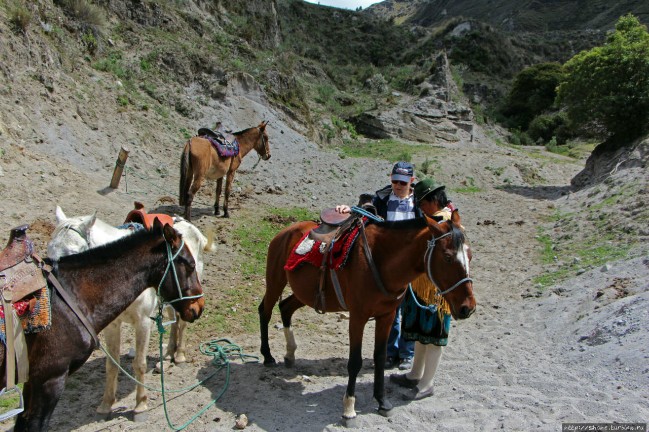 Без лошадок мы бы не выбрались Килотоа кратерное озеро, Эквадор