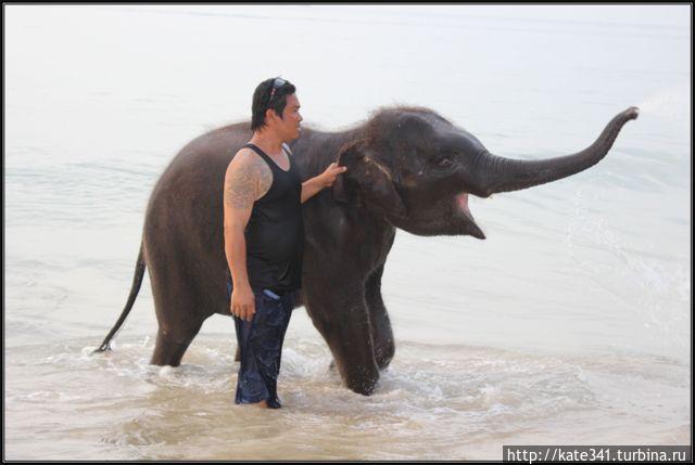 По следам слонёнка или зимовка-2 Остров Пхукет, Таиланд