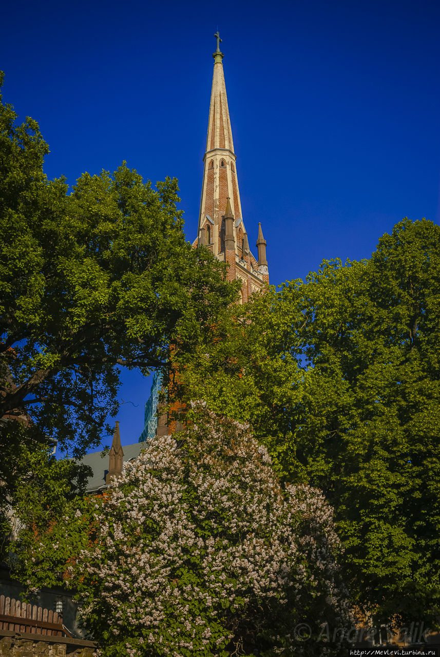 «Ночь церквей». Рига, Латвия «Ночь церквей». Рига, Латвия