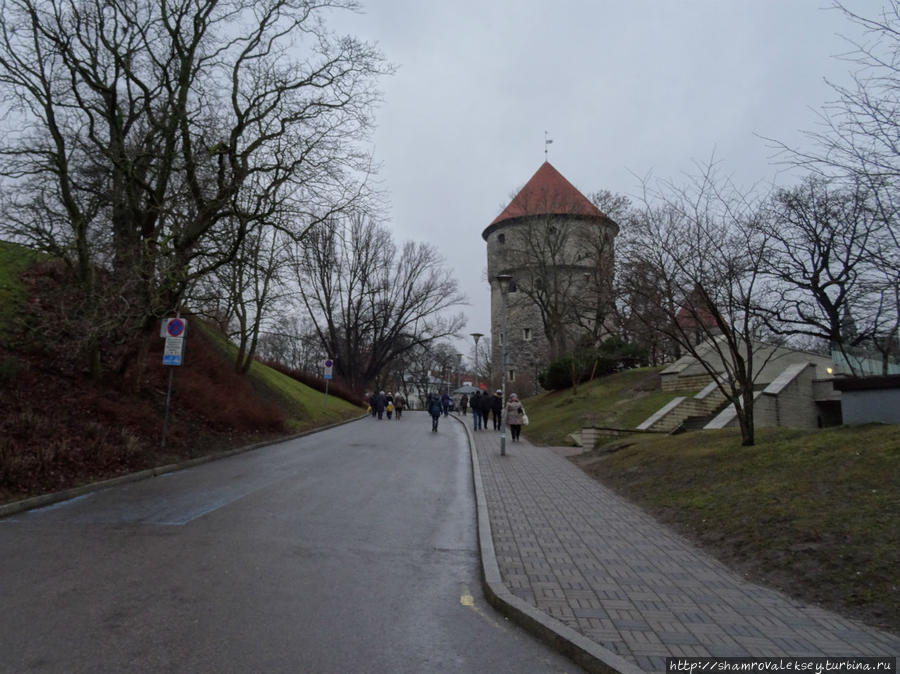 Башня Кик ин де Кёк Таллин, Эстония