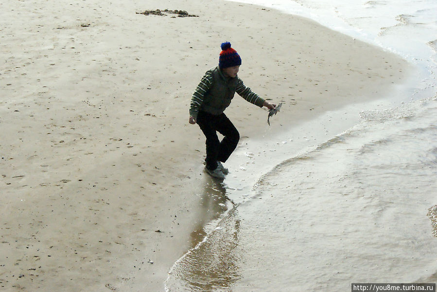 Поймайте мне кролика Нижегородская область, Россия Поймайте мне кролика Нижегородская область, Россия