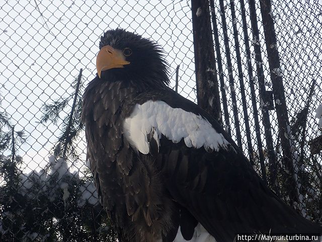 Парк им. Ю. А. Гагарина Южно-Сахалинск, Россия Парк им. Ю. А. Гагарина Южно-Сахалинск, Россия