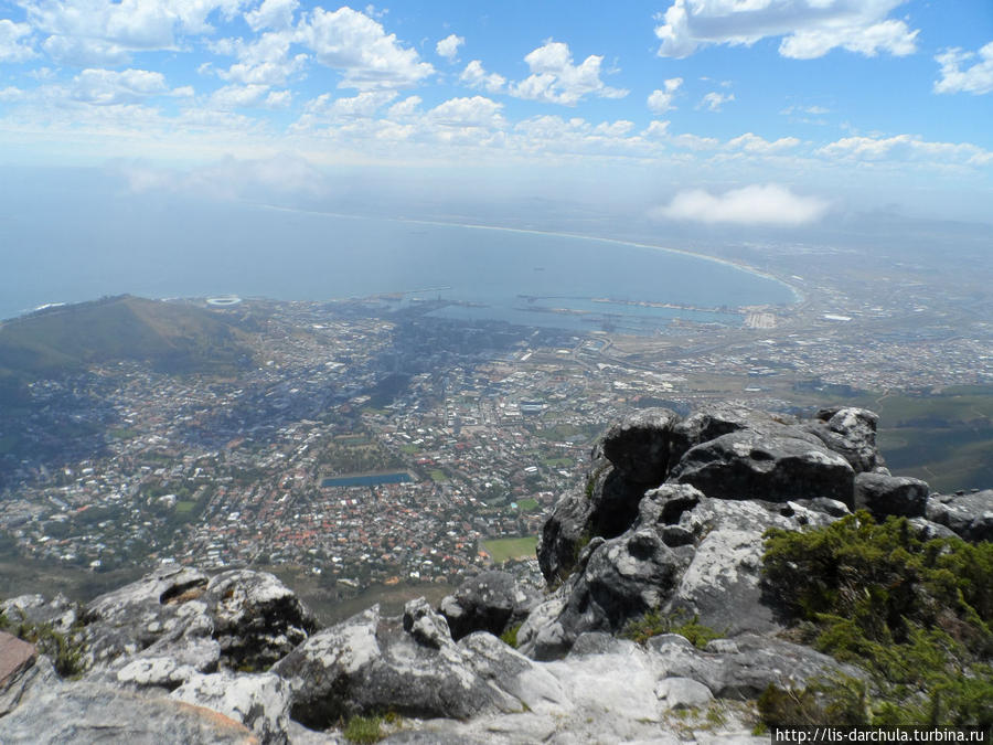 Путешествие в ЮАР. Часть3. Кейптаун и окрестности ЮАР