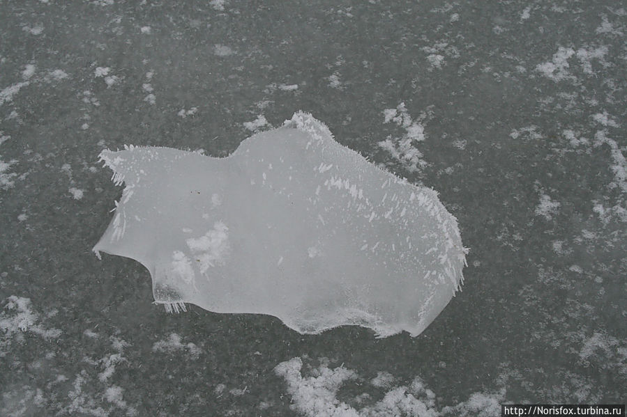 По Балтийскому катку Юрмала, Латвия По Балтийскому катку Юрмала, Латвия