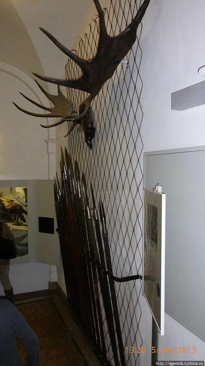 Музей рыболовства и охоты в Мюнхене  Feed.photo