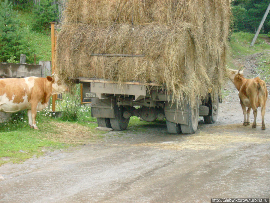 Радуга в Артыбаше Артыбаш, Россия Радуга в Артыбаше Артыбаш, Россия
