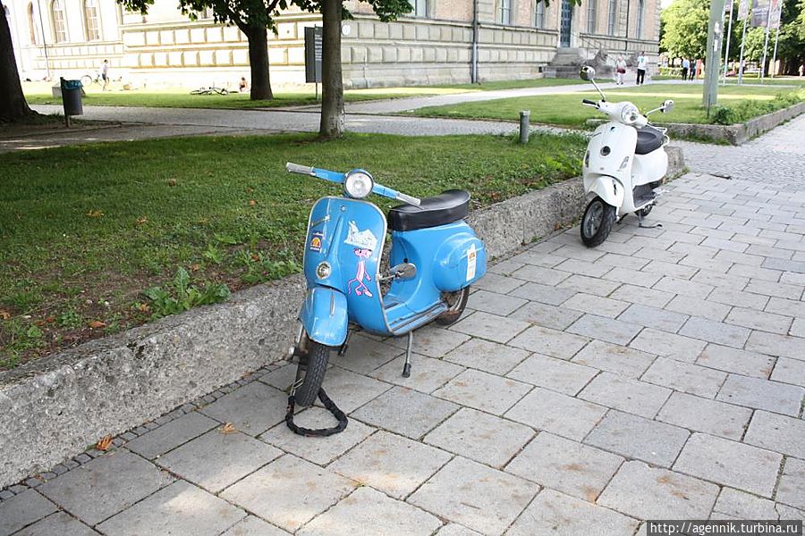 Веспы Веспы