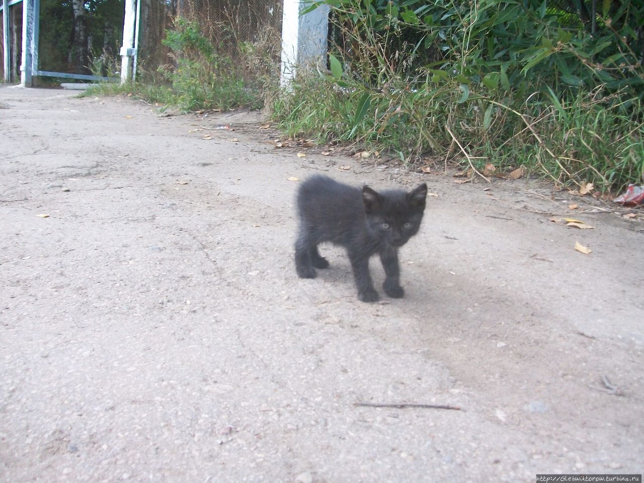 Осмотр немногочисленных достопримечательностей Венёв, Россия Осмотр немногочисленных достопримечательностей Венёв, Россия