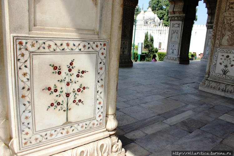 Говорят, сердолик, из кот Говорят, сердолик, из кот