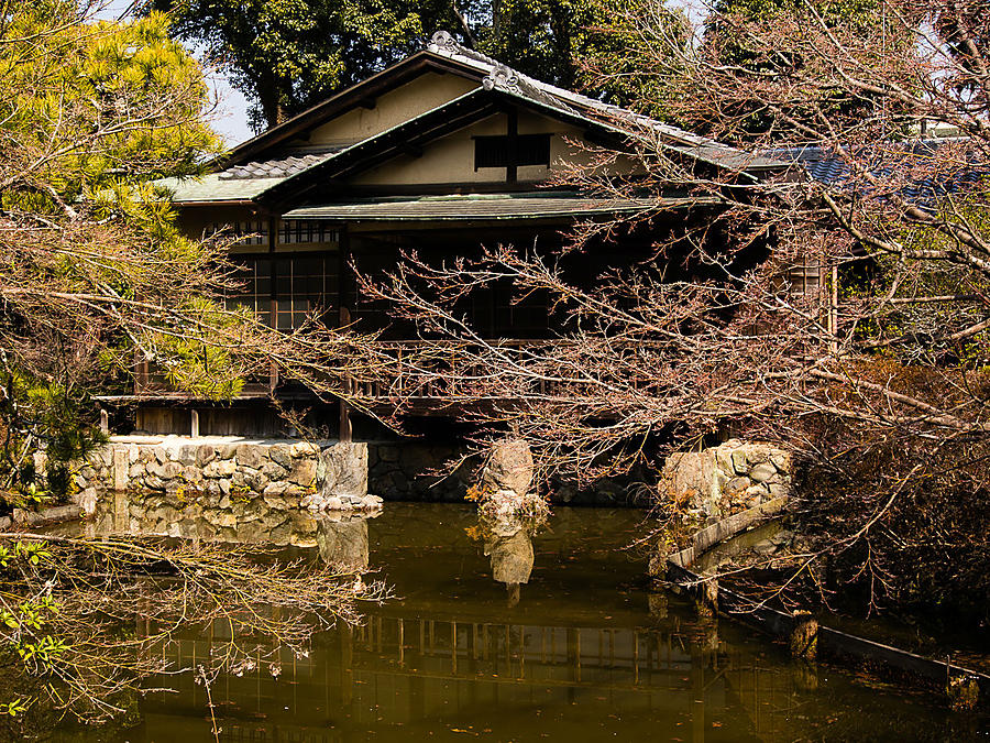 Сливы в сливовом святилище Киото, Япония