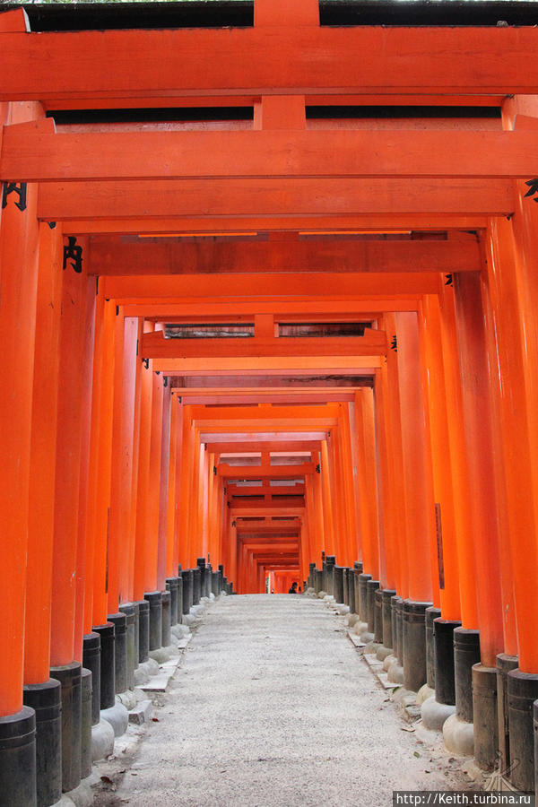 Киото. Fushimi Inari Shrine Киото, Япония