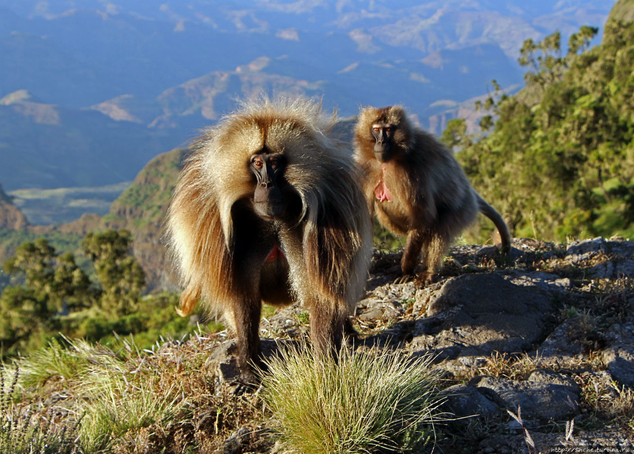 Национальный парк Сымен. Знакомство с горами и геладами