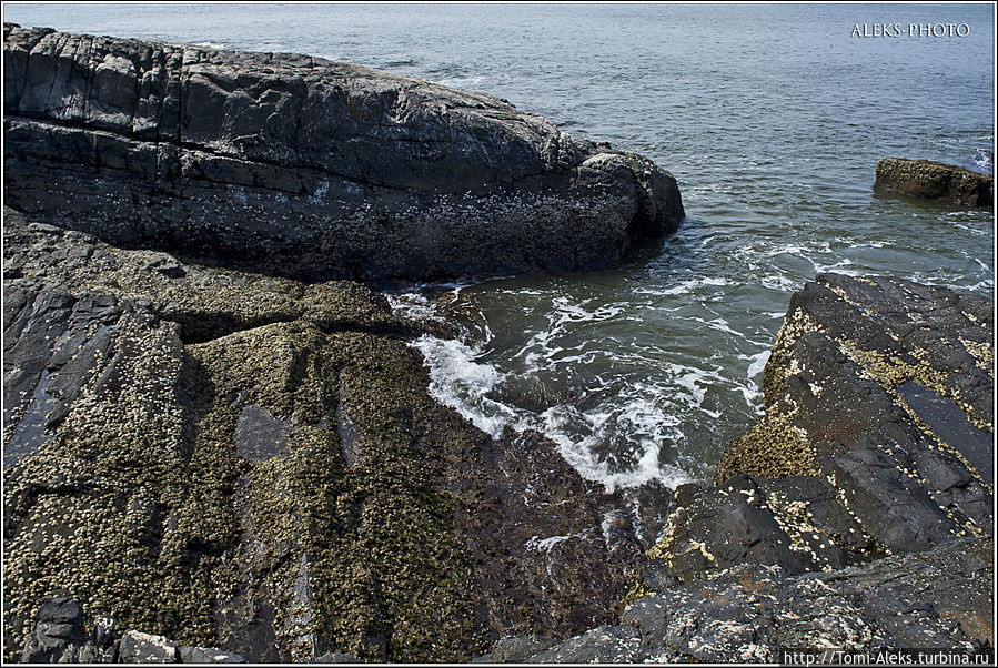 А этот валун похож или на кита или — на голову гигантского удава...
* А этот валун похож или на кита или — на голову гигантского удава...
*