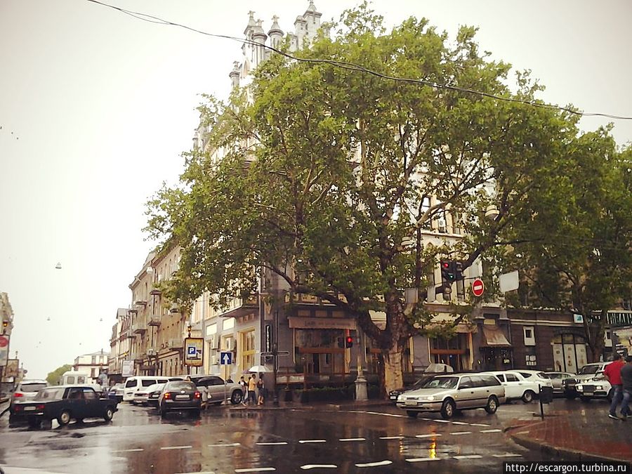 Утром идет дождь. Ребята решают остаться дома и подождать лучшей погоды. Но у меня на это нет времени, сегодня по моему плану еще выезд в сторону Крыма.
Я надеваю дождевик, выхожу из дворика на Ланжероновской и направляюсь в какую-то сторону. Я не знаю куда идти, но говорят, что все достопримечательности и старейшие улицы находятся где-то неподалеку. Значит стоит пойти наобум. Жаль, правда, что по-прежнему идет дождь. Да уж, не судьба мне погулять по солнечной Одессе. Ну что ж... Утром идет дождь. Ребята решают остаться дома и подождать лучшей погоды. Но у меня на это нет времени, сегодня по моему плану еще выезд в сторону Крыма.
Я надеваю дождевик, выхожу из дворика на Ланжероновской и направляюсь в какую-то сторону. Я не знаю куда идти, но говорят, что все достопримечательности и старейшие улицы находятся где-то неподалеку. Значит стоит пойти наобум. Жаль, правда, что по-прежнему идет дождь. Да уж, не судьба мне погулять по солнечной Одессе. Ну что ж...