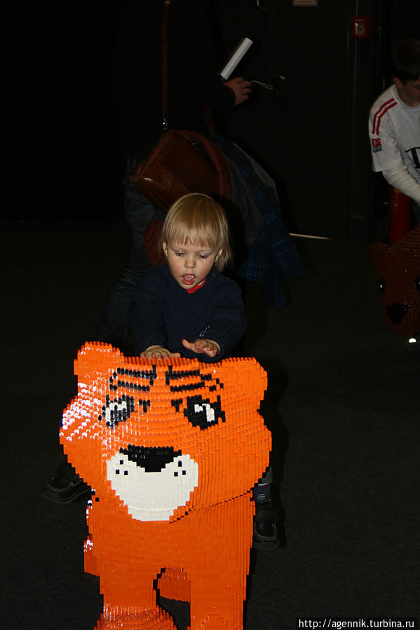 Сын залез на тигра Сын залез на тигра