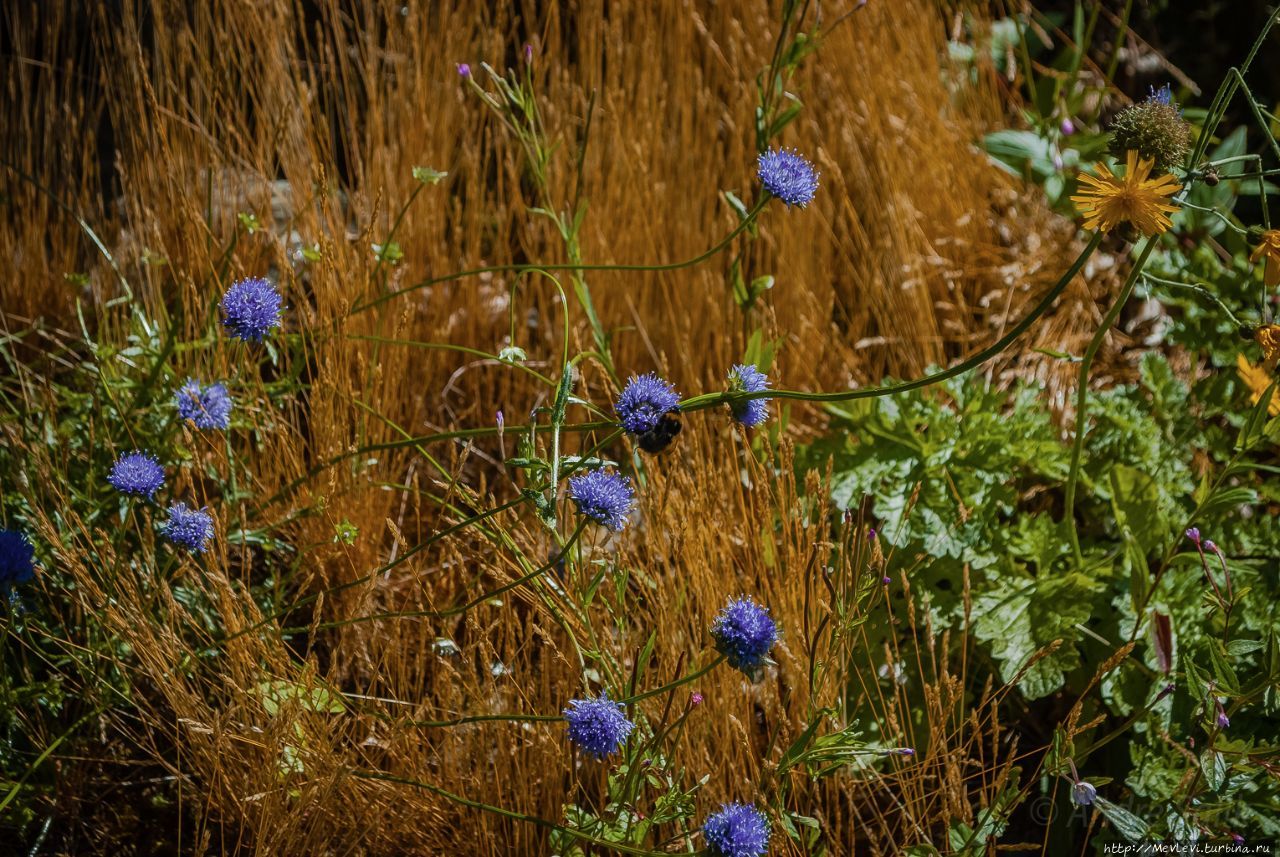 Замок Тарберт Тарберт, Великобритания Замок Тарберт Тарберт, Великобритания