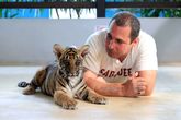 Маленькое поколение Индокитайского тигра