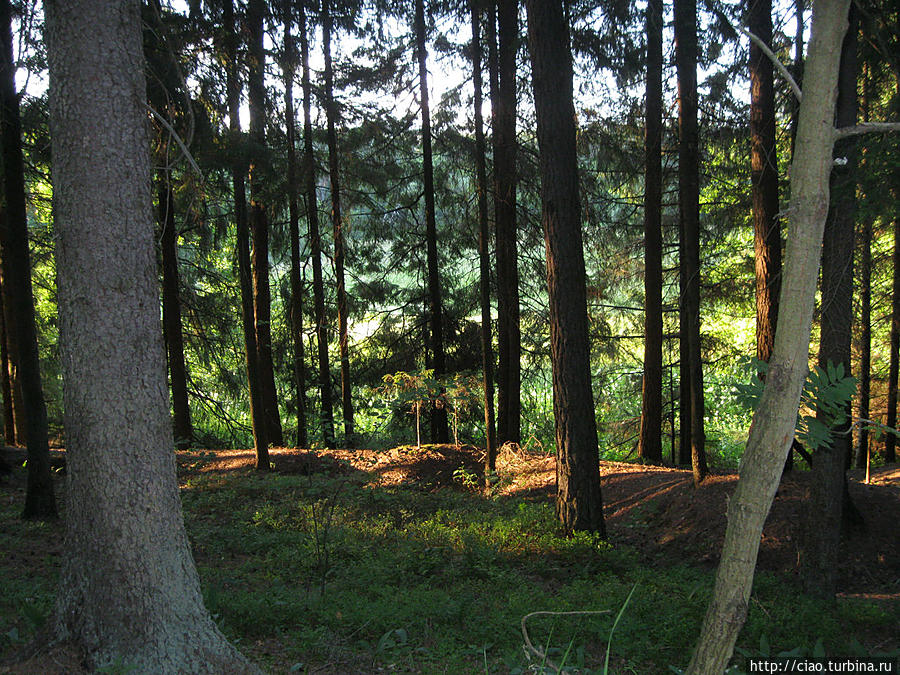 Окрестности санатория. Беларусь Окрестности санатория. Беларусь