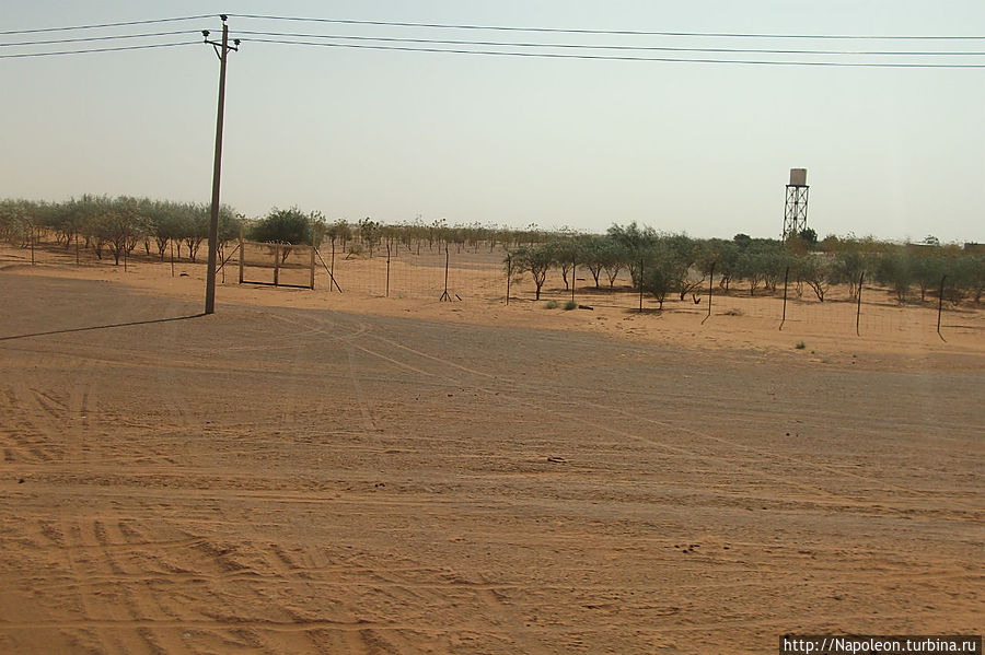 Бросок на юг Донгола, Судан