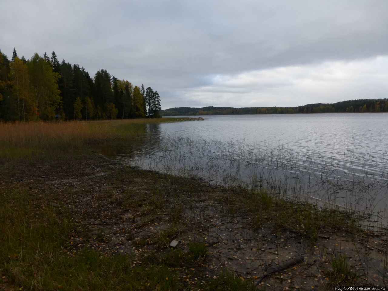 озеро Янисъярви Вяртсиля, Россия