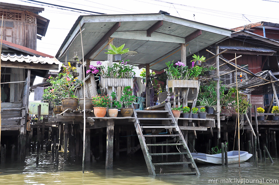 Что бы хоть как-то компенсировать отсутствие почвы, местные жители выращивают растения в многочисленных вазонах. Бангкок, Таиланд