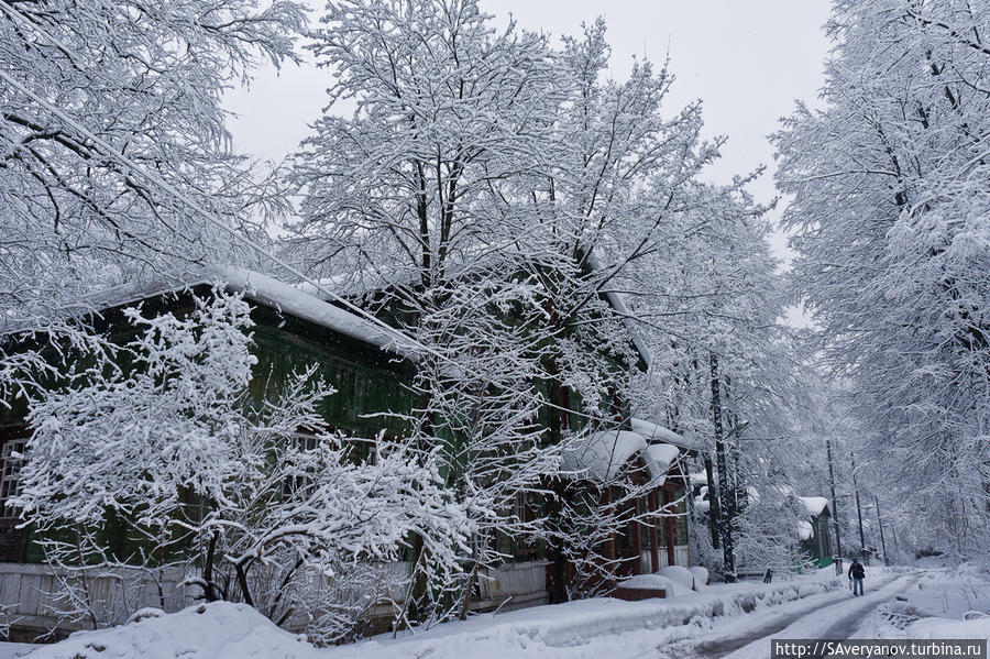 Унтер-ден-Линден Пермь, Россия Унтер-ден-Линден Пермь, Россия
