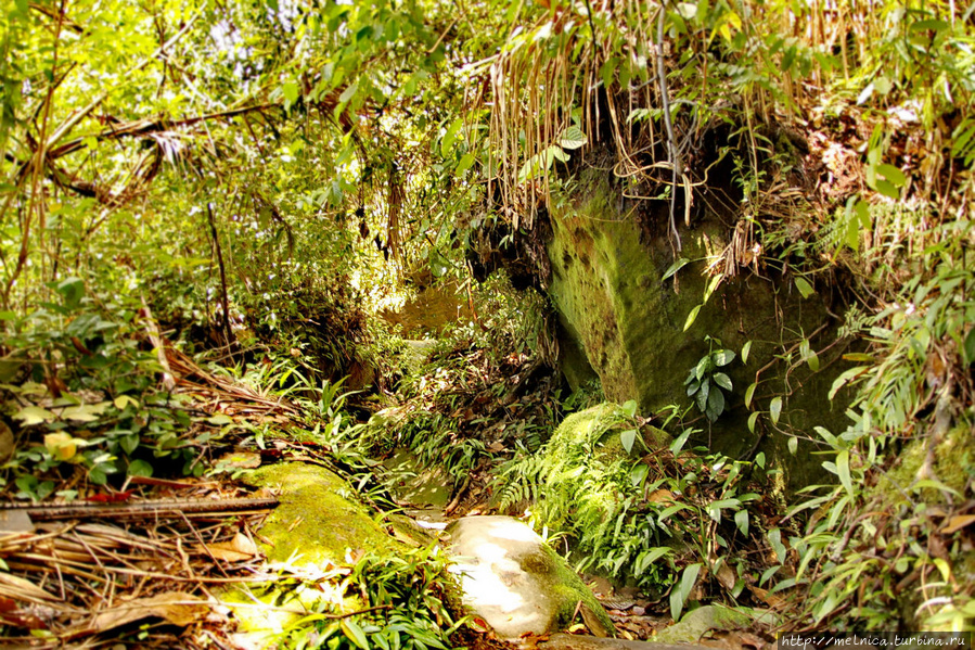 Вот такая вот тропа, по сути промытая в скалах водными потоками Бако Национальный Парк, Малайзия