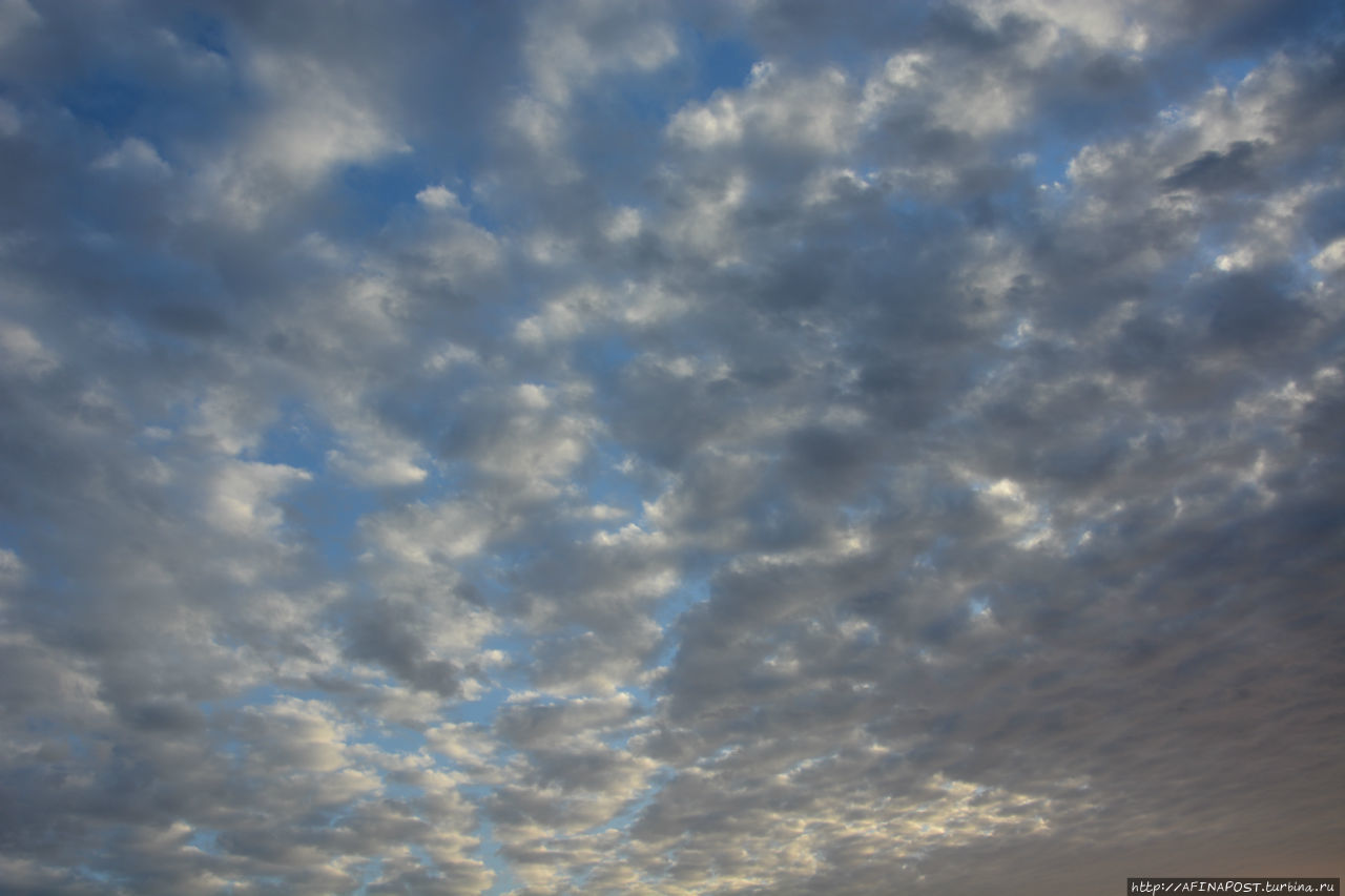 Все оттенки серого Все оттенки серого