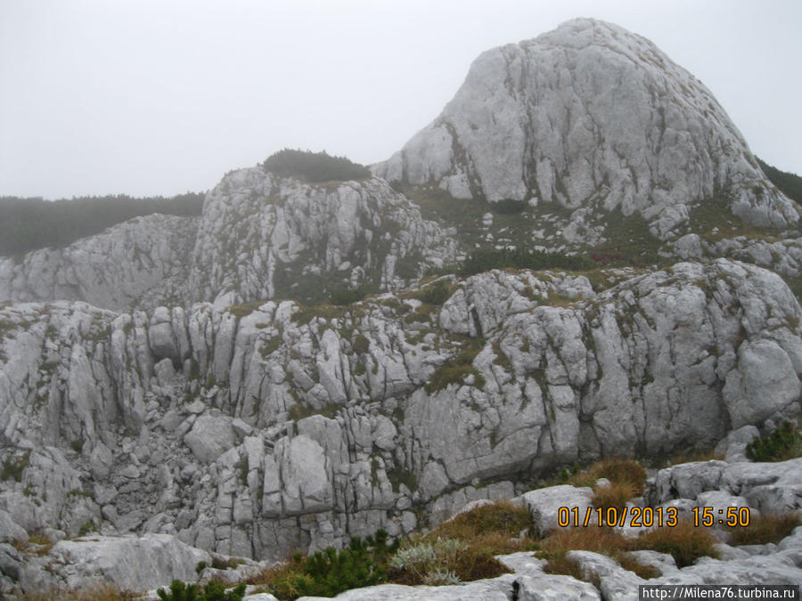 Дурмитор. Жаркий путь в Ледяную пещеру. Каньон реки Тара. Жабляк, Черногория Дурмитор. Жаркий путь в Ледяную пещеру. Каньон реки Тара. Жабляк, Черногория