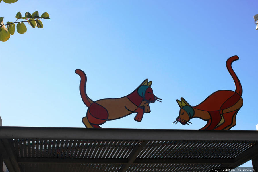 Как я провела Судный день Как я провела Судный день