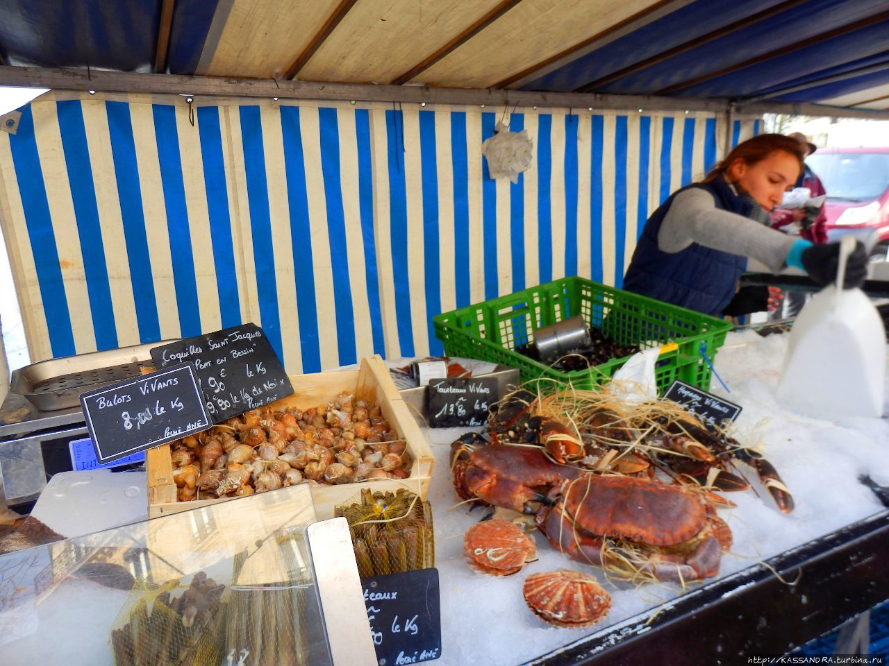 Кухня Прованса. Торговцы моллюсками Марсель, Франция