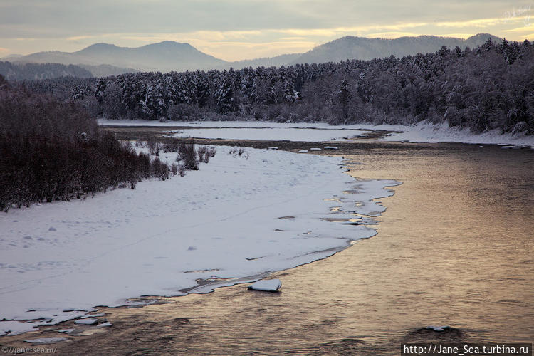 Река Бия Река Бия