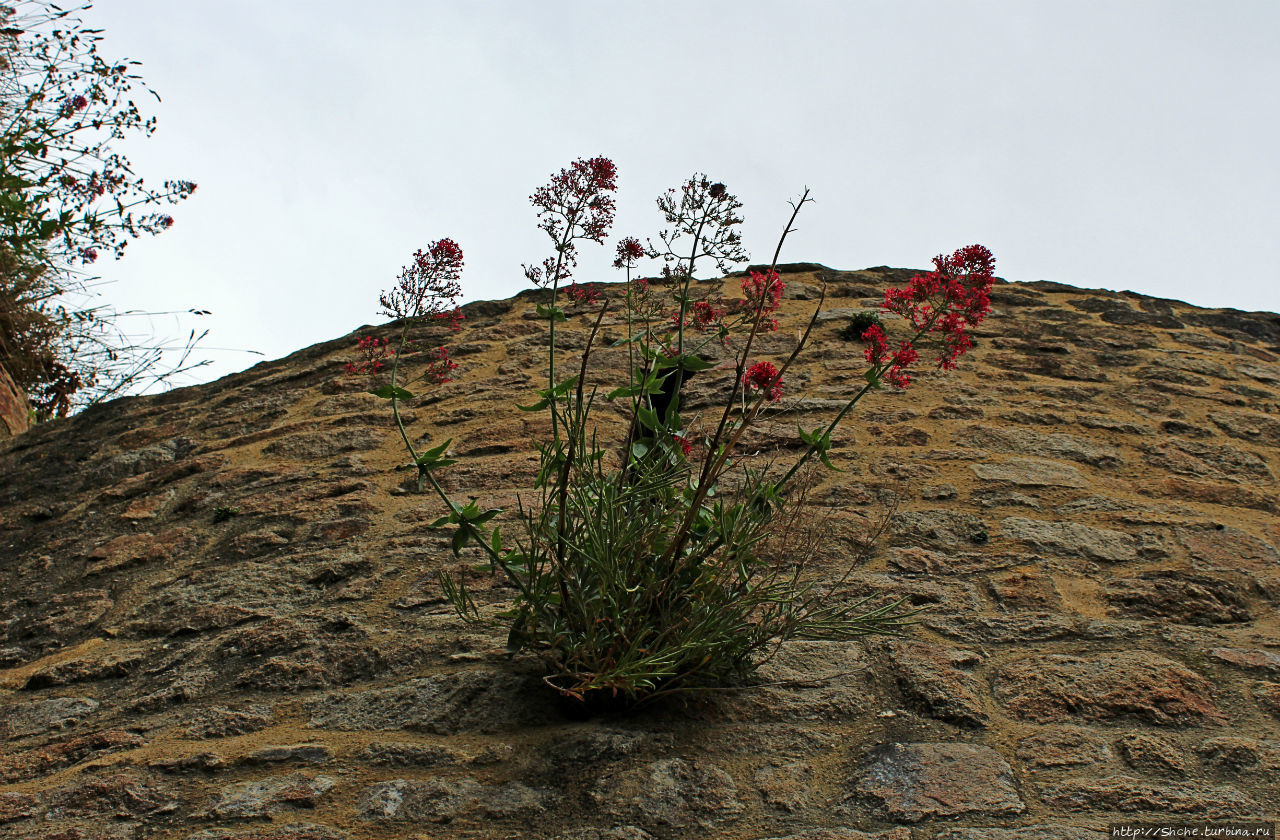 Красавица, что манит близостью и дразнит недоступностью Мон-Сен-Мишель, Франция Красавица, что манит близостью и дразнит недоступностью Мон-Сен-Мишель, Франция