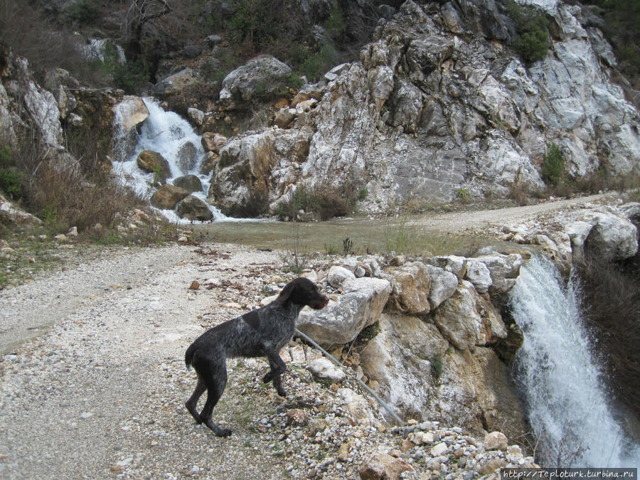Бурлящая вода — завораживающее зрелище Алания, Турция