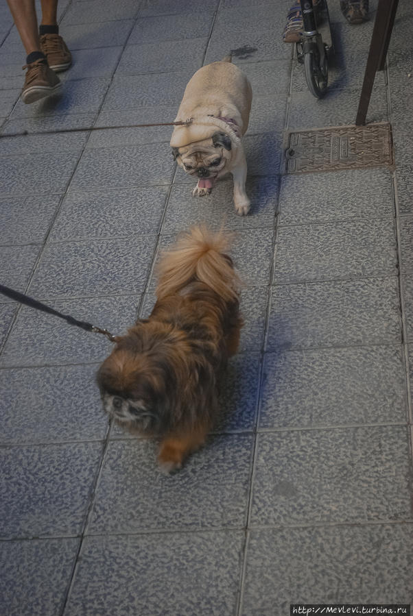 Пляжи Ситжеса Ситжес, Испания Пляжи Ситжеса Ситжес, Испания