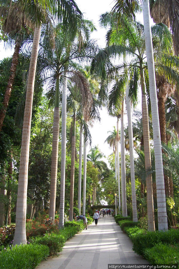 Ботанический сад на острове Китченера Асуан, Египет