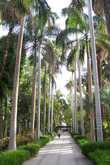 Ботанический сад на острове Китченера