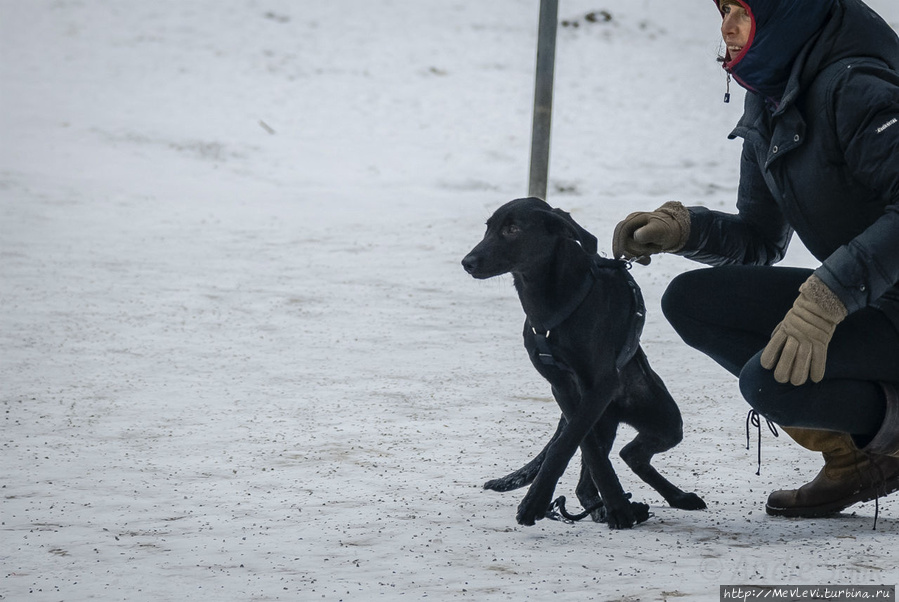 Прогулка в Английский сад Мюнхен, Германия Прогулка в Английский сад Мюнхен, Германия
