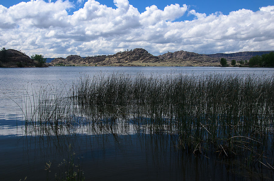 На берегах озера Банкс — резервуара, получившегося после создания дамбы. Раньше здесь было сухое куле. На берегах озера Банкс — резервуара, получившегося после создания дамбы. Раньше здесь было сухое куле.