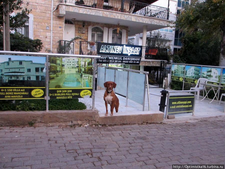 Здравствуй, Дидим! Дидим, Турция Здравствуй, Дидим! Дидим, Турция