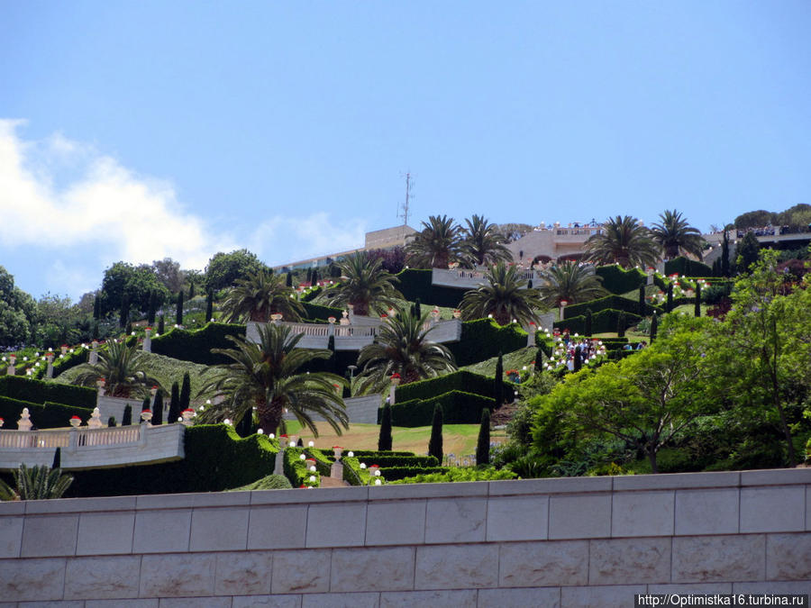 На горе Кармель по дороге к Бахайским садам Хайфа, Израиль