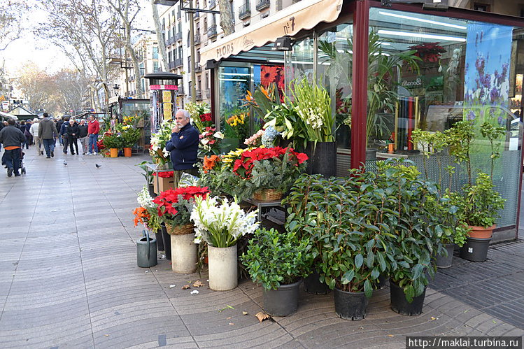 Рамбла Святого Иосифа (Ra Рамбла Святого Иосифа (Ra