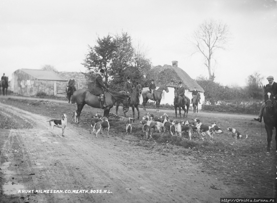 Охота в Килмессане, графство Мит. 1900 год. Ирландия