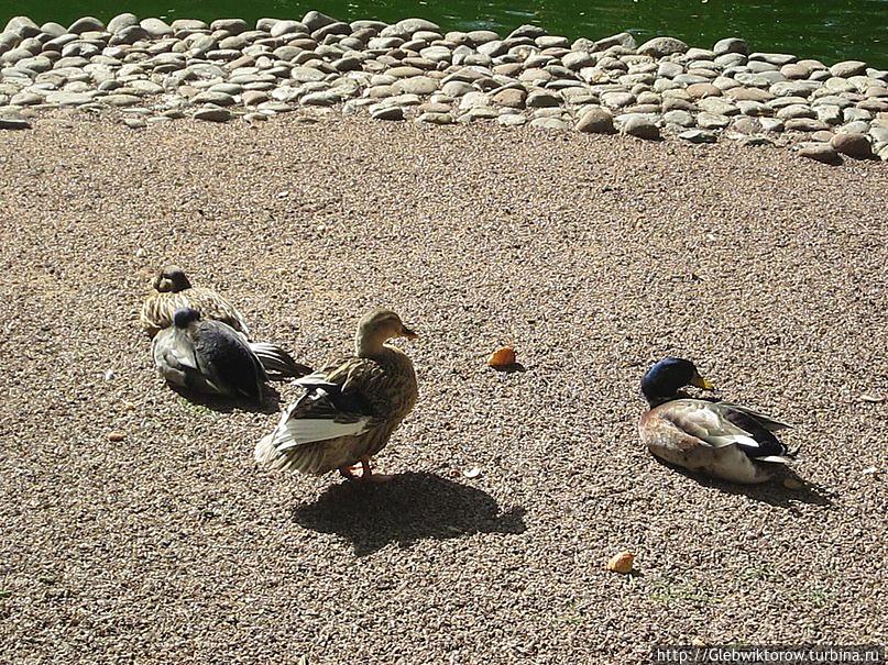 Прогулка по Рабату Рабат, Марокко Прогулка по Рабату Рабат, Марокко