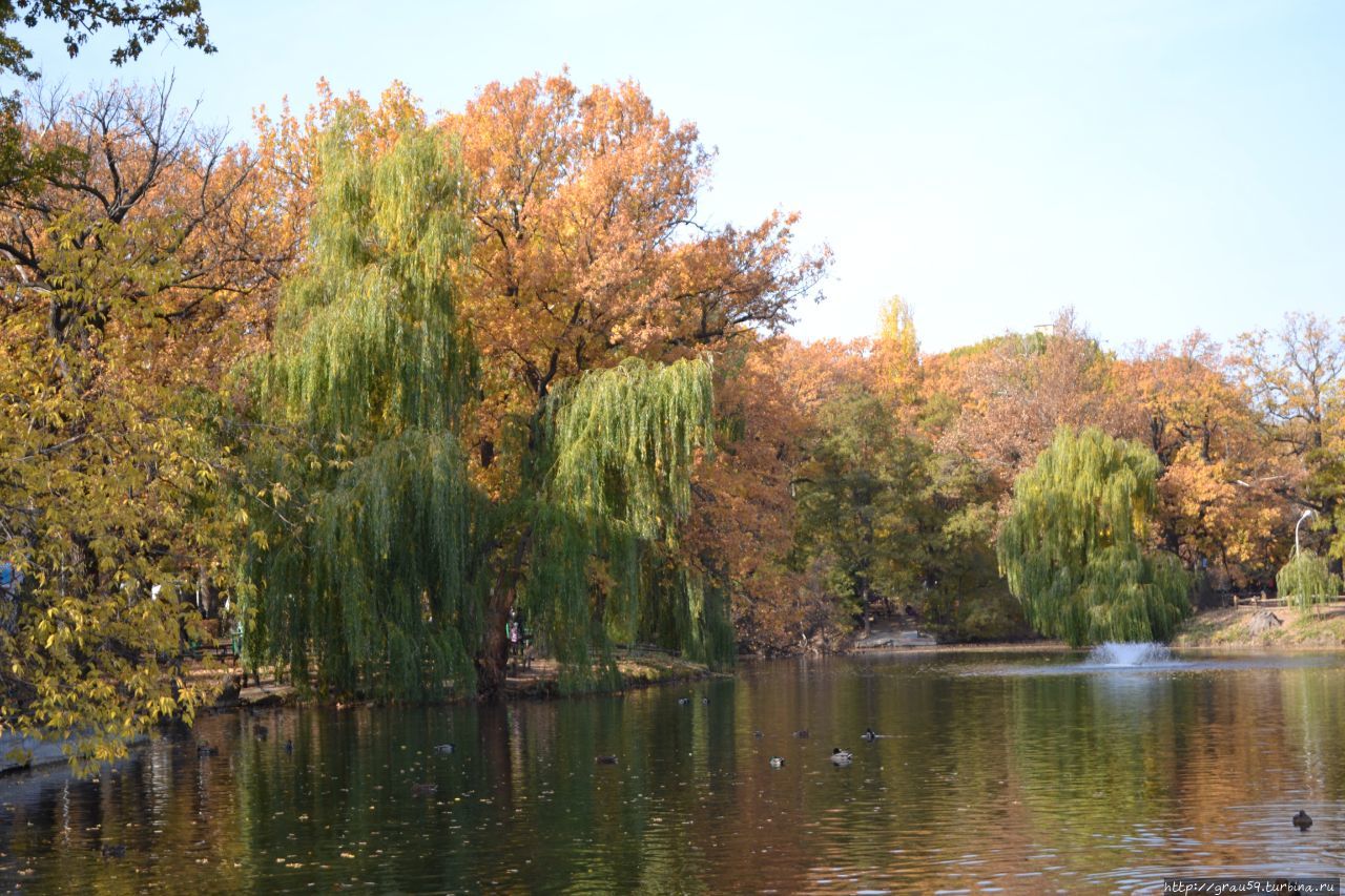 Городской парк культуры и отдыха Городской парк культуры и отдыха