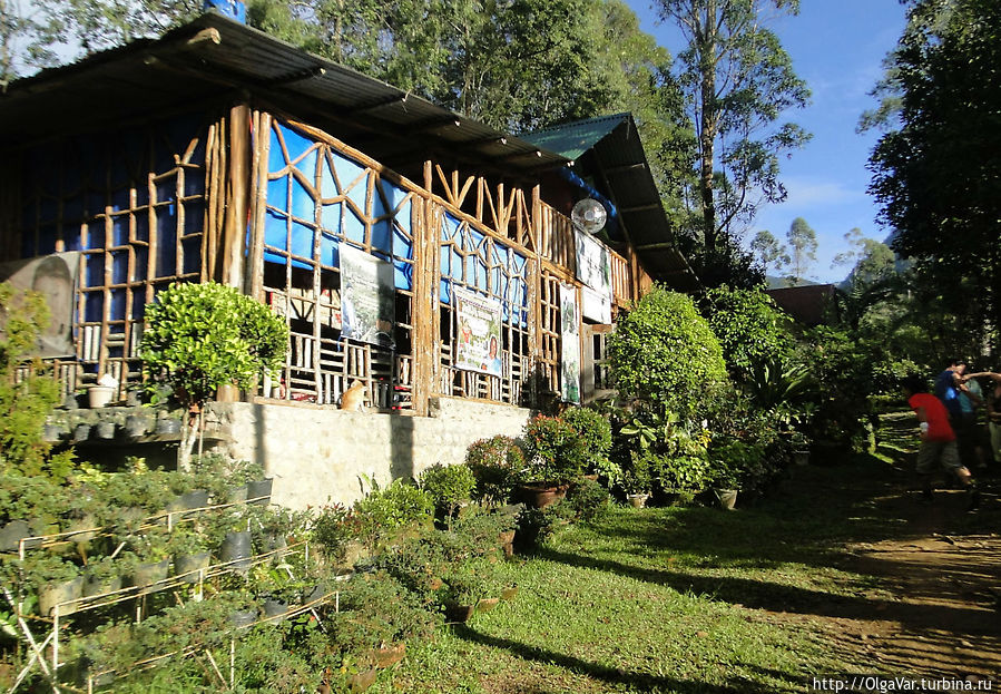 Агролесная ферма «Binahon» носит имя фермера, лесника и социолога Генри Бинахона. Отсюда ближе всего до горы Дуланг-Дуланг Агролесная ферма «Binahon» носит имя фермера, лесника и социолога Генри Бинахона. Отсюда ближе всего до горы Дуланг-Дуланг