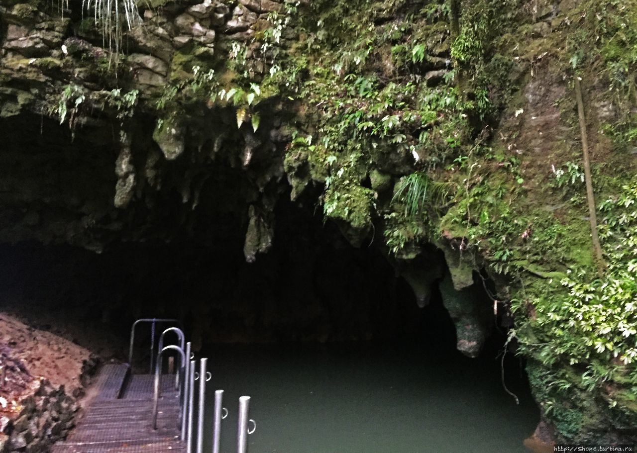 Пещеры Ваитомо Ваитомо-Кейвс, Новая Зеландия