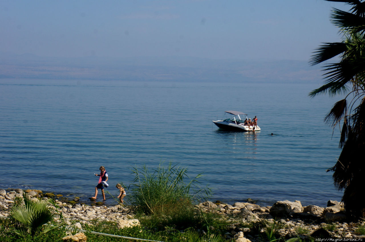 Об  Израиле с любовью. Берег  Галилейского  моря...