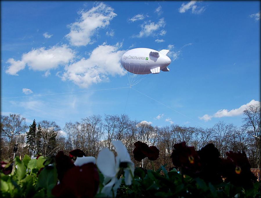 Москва — Лето в парке Москва, Россия Москва — Лето в парке Москва, Россия