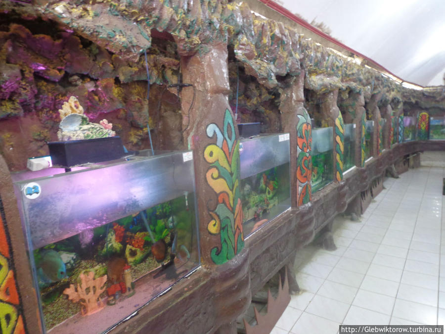 Аквариум и зоомузей в г.Букитинги Букиттинги, Индонезия